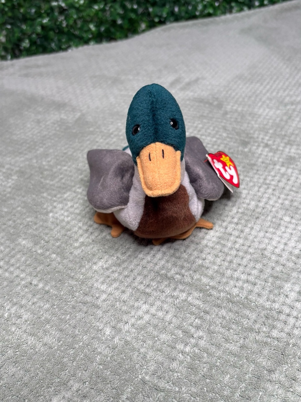 Ty Beanie Baby Jake the Mallard Duck Plush - Green Head, Brown Body, Gray Wings